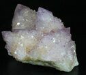 Cactus Quartz (Amethyst) Cluster - South Africa #33622-4